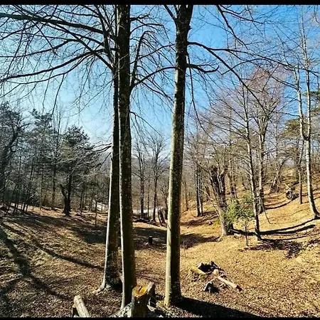 Il Villaggio Dei Puffi Bardineto