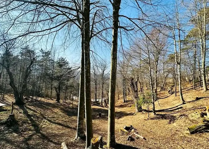 Il Villaggio Dei Puffi Bardineto